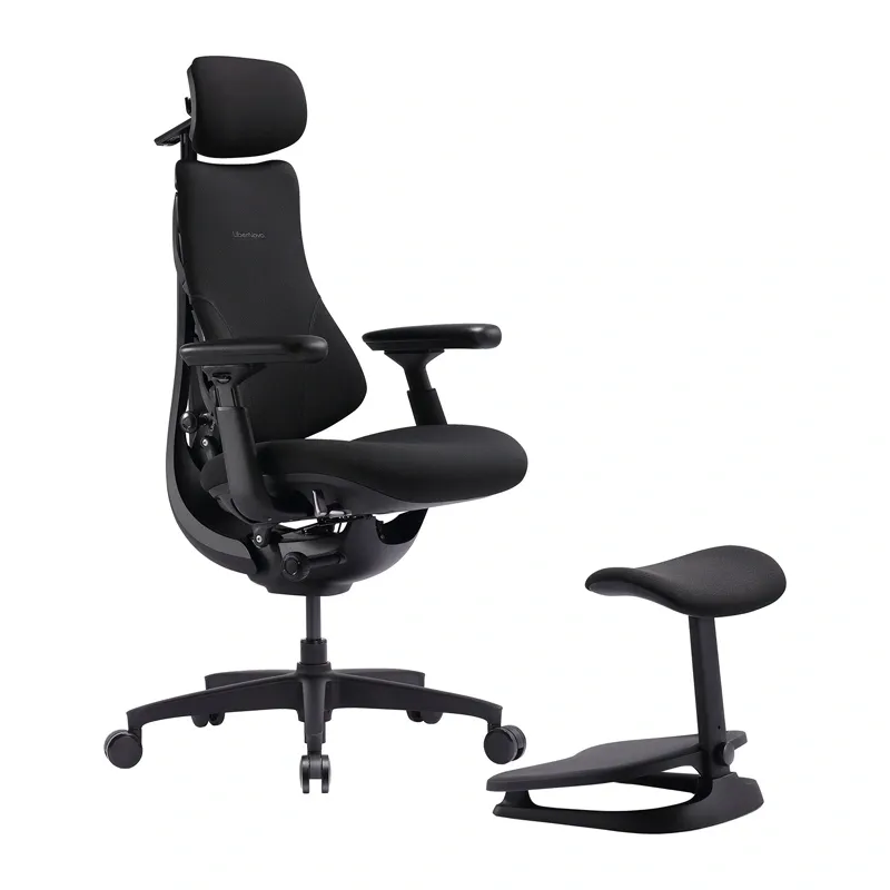 LiberNovo Omni SE 48 cm Ergonomic Chair (Black)